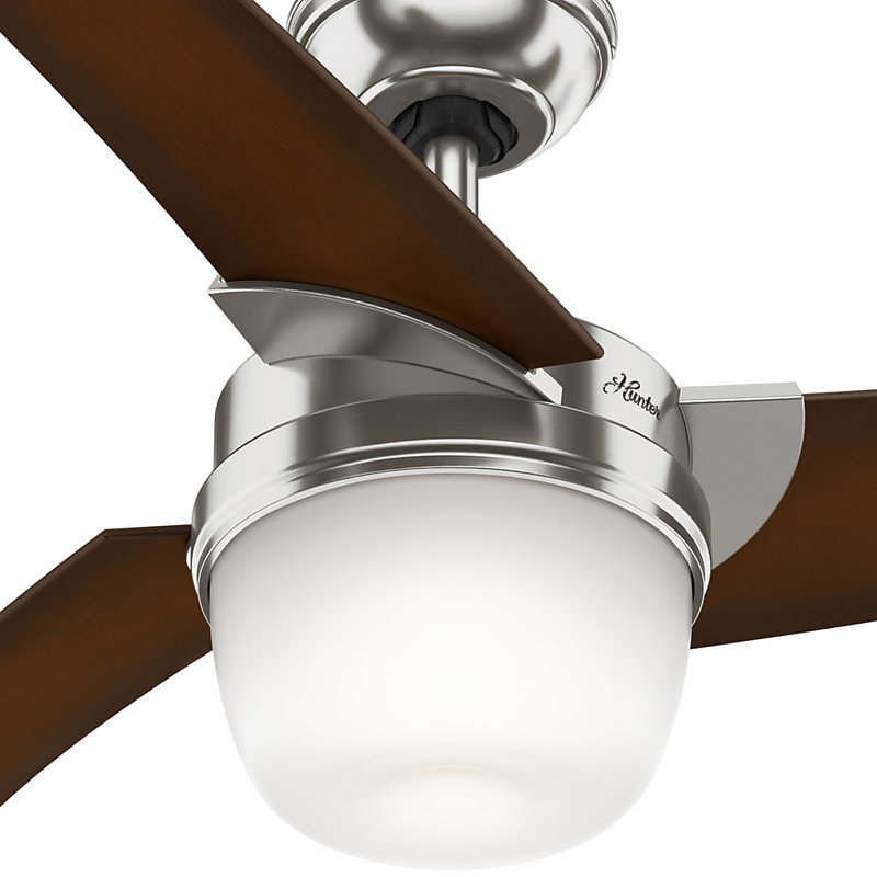 Hunter Fan Eurus 54Inch Single Light 3Blade Ceiling Fan & Reviews